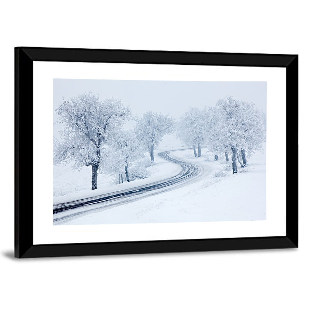 Cold Snowy Path Wall Art
