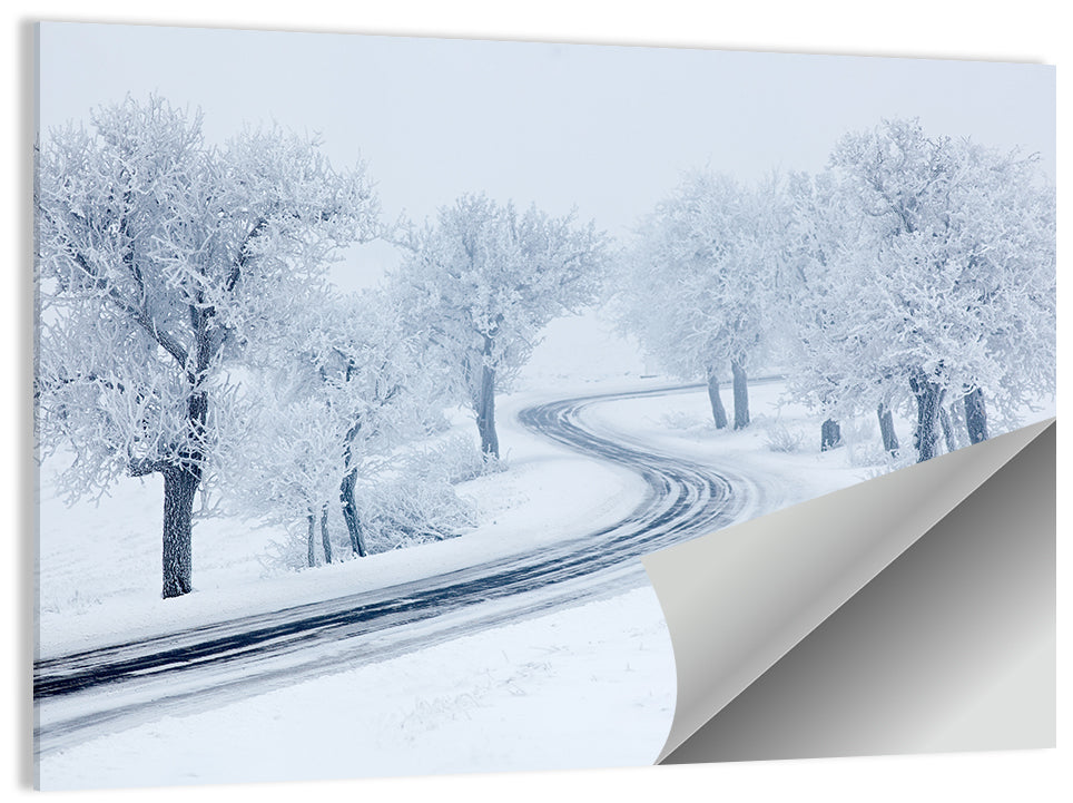 Cold Snowy Path Wall Art