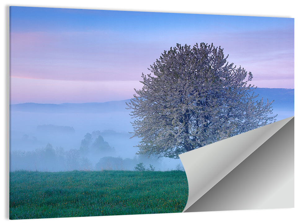 Sumava Mountain Tree Wall Art