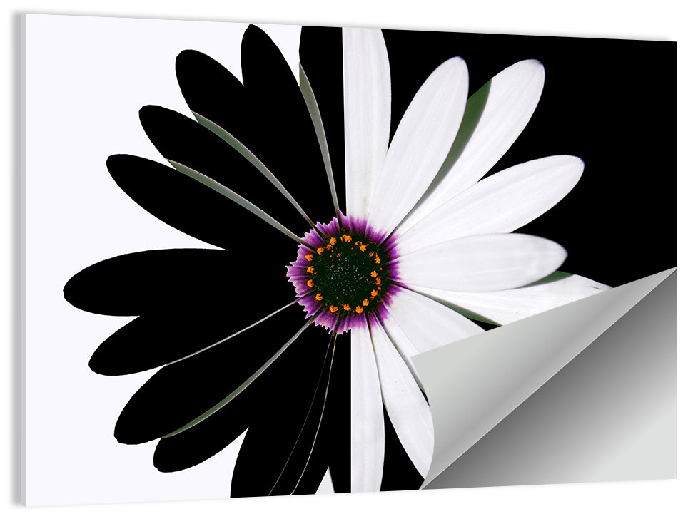 Black & White Flower Wall Art