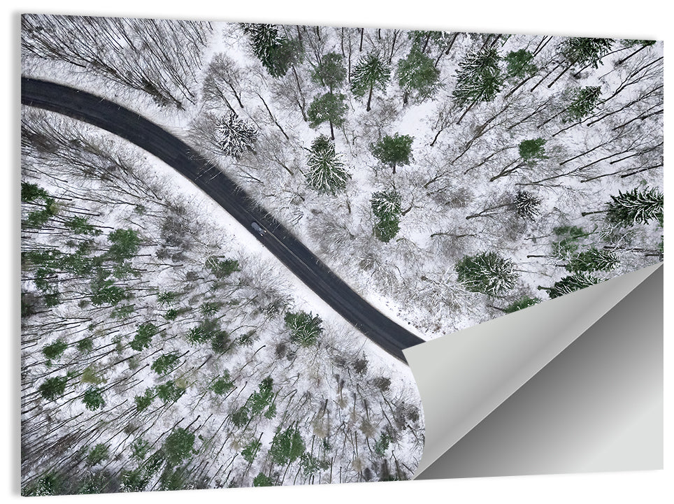 Snowy Forest Road Wall Art
