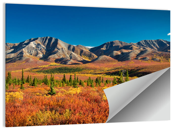 Denali Autumn Peaks Wall Art as a poster print