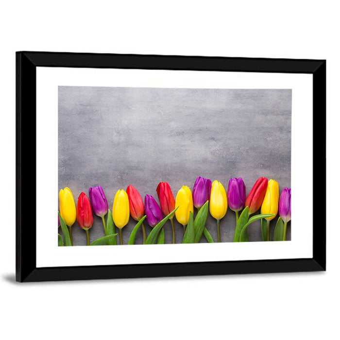 Row of Multicolored Tulips Wall Art as a framed print