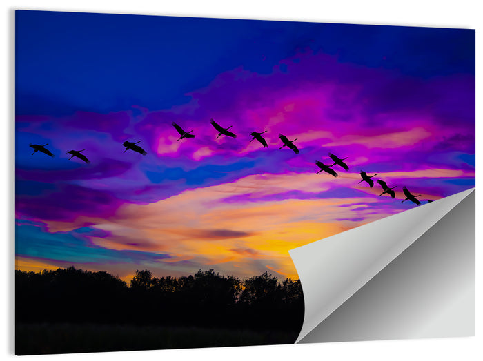 Silhouetted Cranes at Dusk Wall Art as a poster print