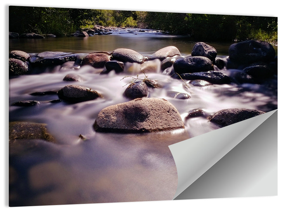 Reno Truckee River Wall Art