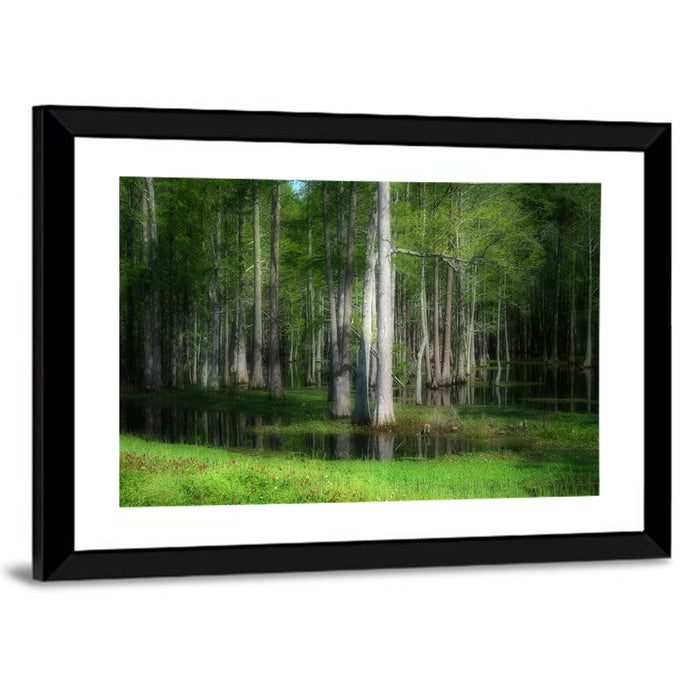 Lush Cypress Swamp Wall Art as a framed print
