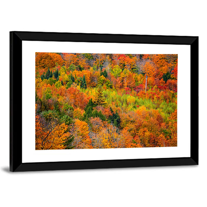 Vermont Autumn Mountain Forest Wall Art as a framed print
