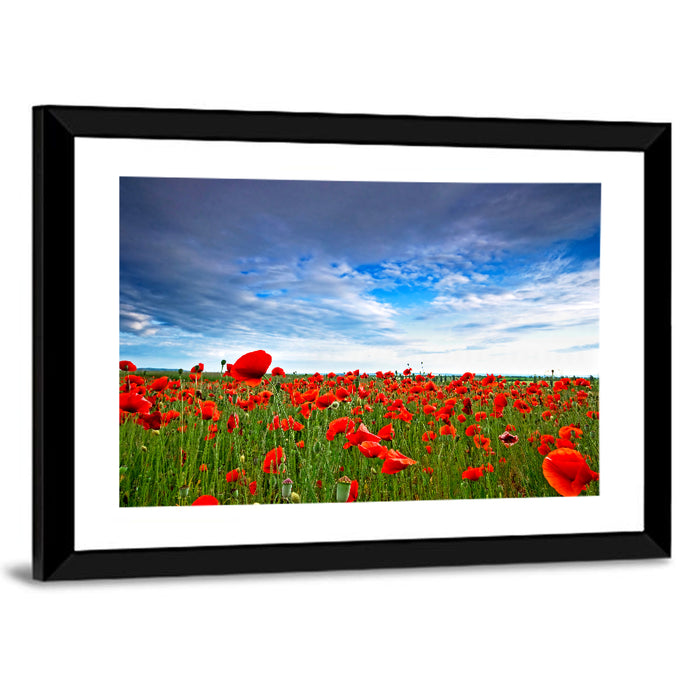 Red Poppy Field Wall Art as a framed print