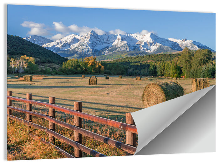 Colorado Hay Bales Wall Art as a poster print