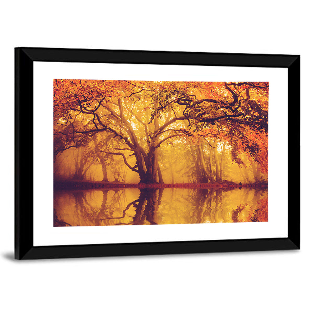 Misty Fall Forest Wall Art