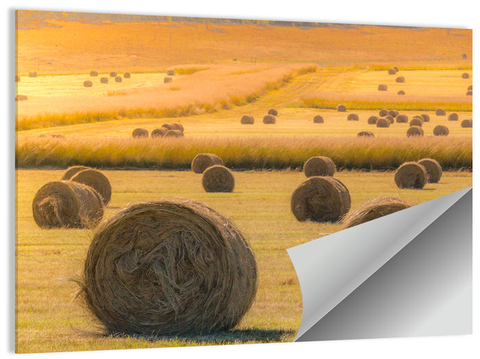 Hay Bales at Golden Hour Wall Art as a poster print