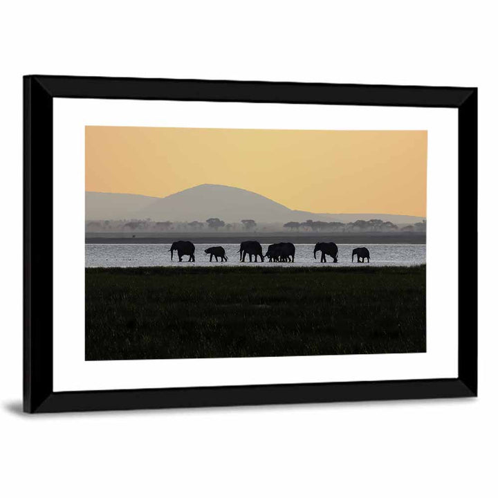 Amboseli Elephants at Golden Sunset Wall Art