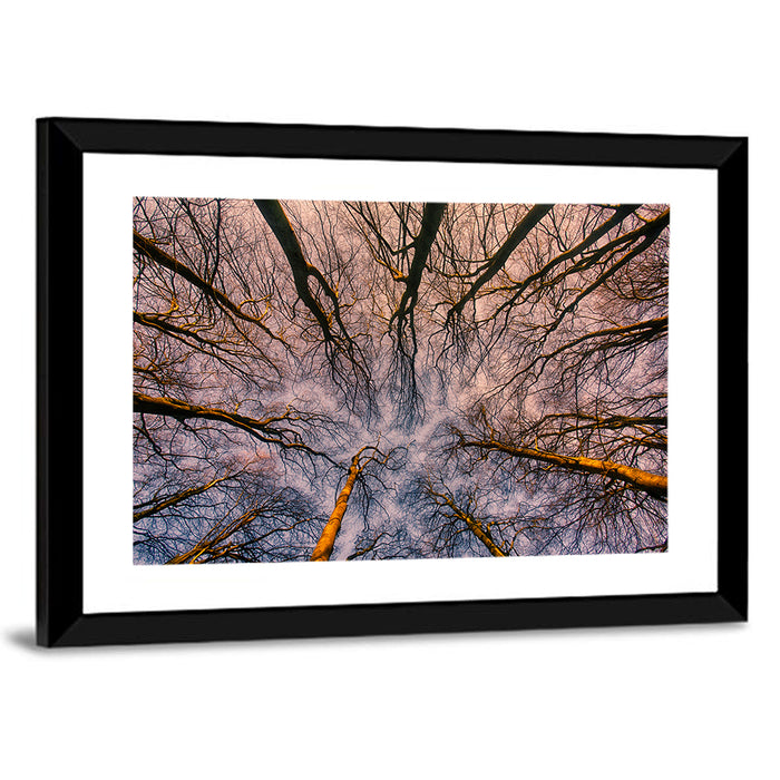 Misty Forest Canopy Wall Art as a framed print