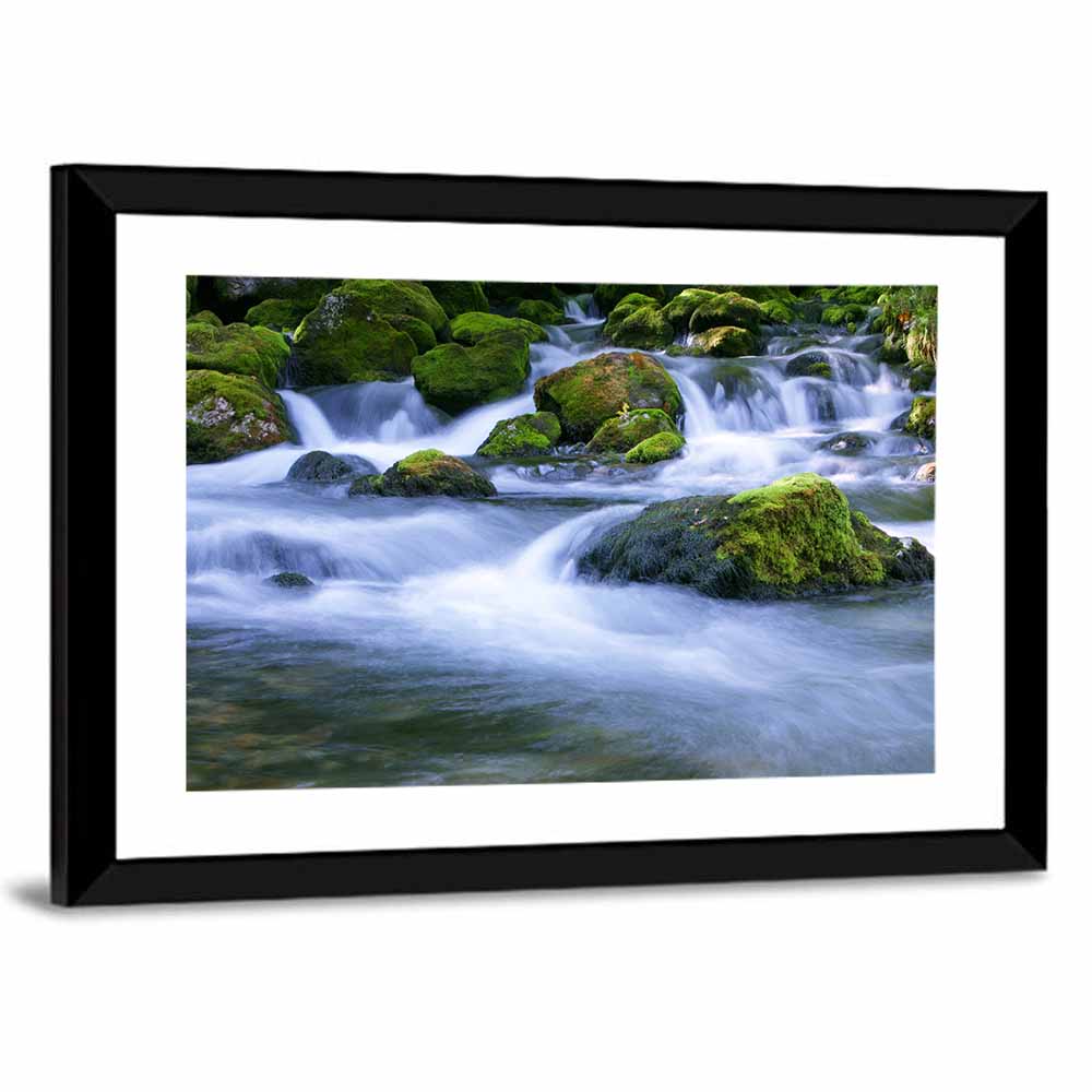 Forest Stream Wall Art