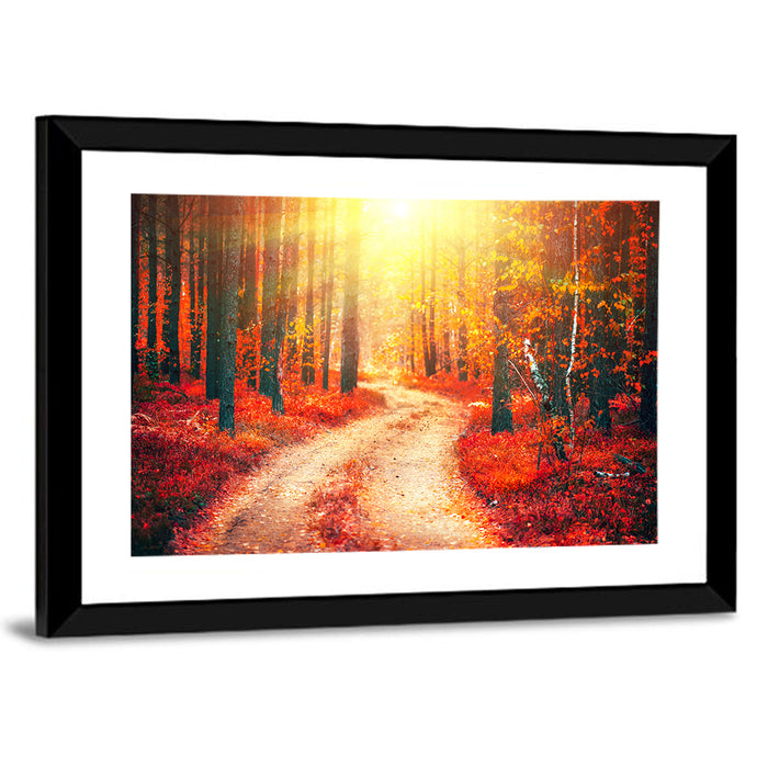 Golden Path Through Autumn Woods Wall Art as a framed print