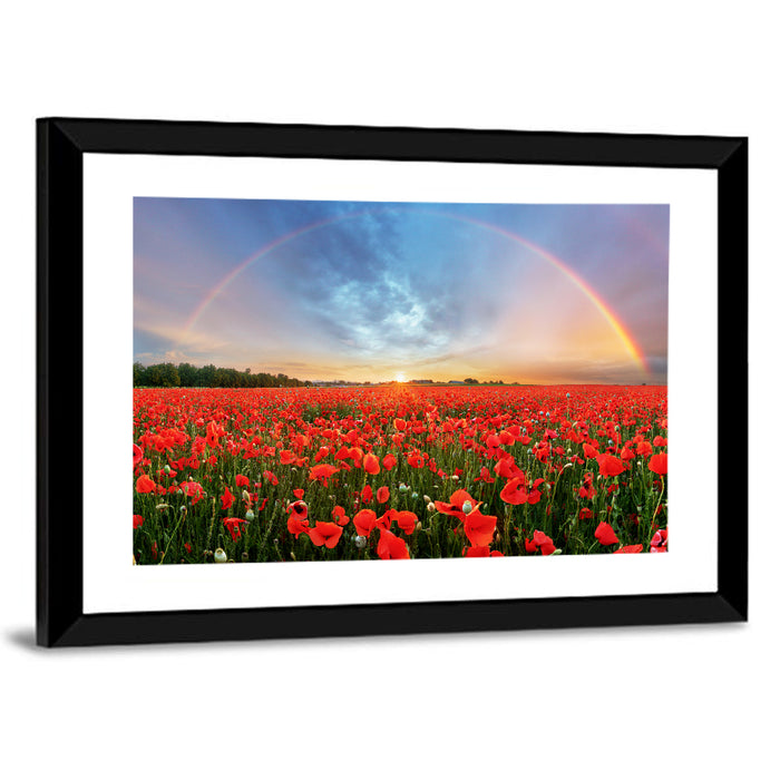 Poppy Field with Double Rainbow Wall Art as a framed print