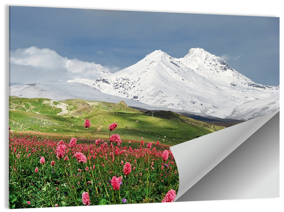 Caucasus Mountain & Spring Wall Art