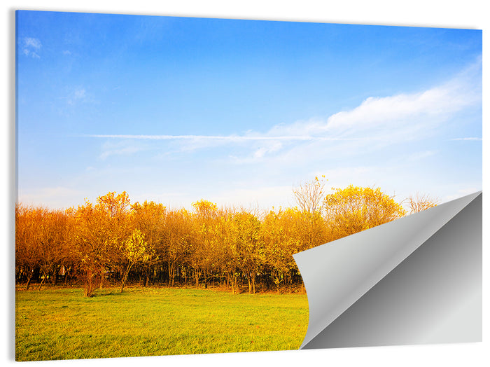 Autumn Forest Meadow Wall Art as a poster print
