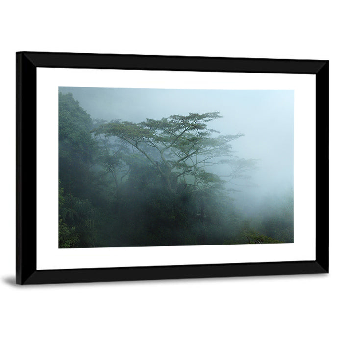 Misty Rainforest Canopy Wall Art as a framed print