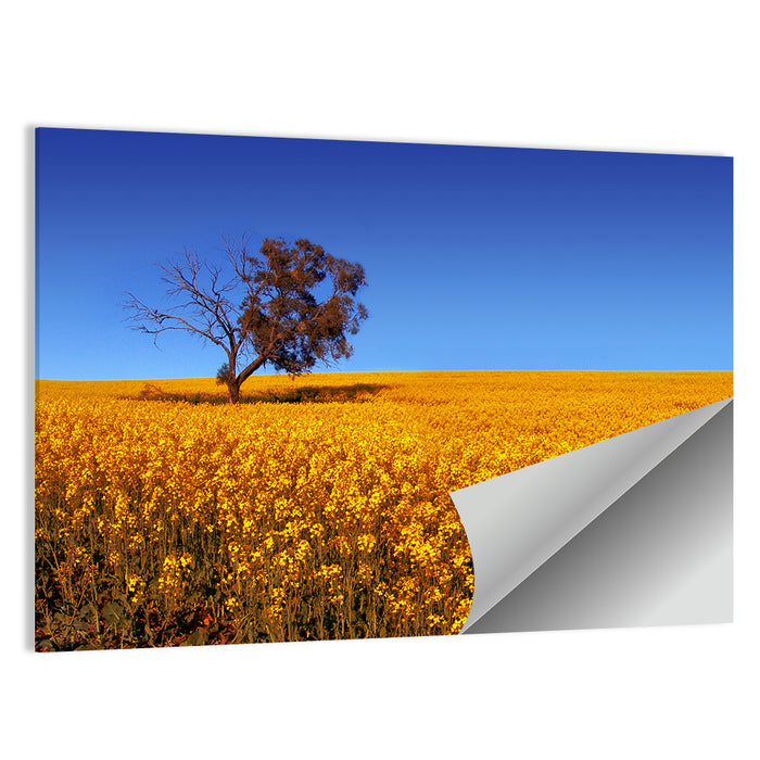 Canola Field with Lone Tree Wall Art as a poster print