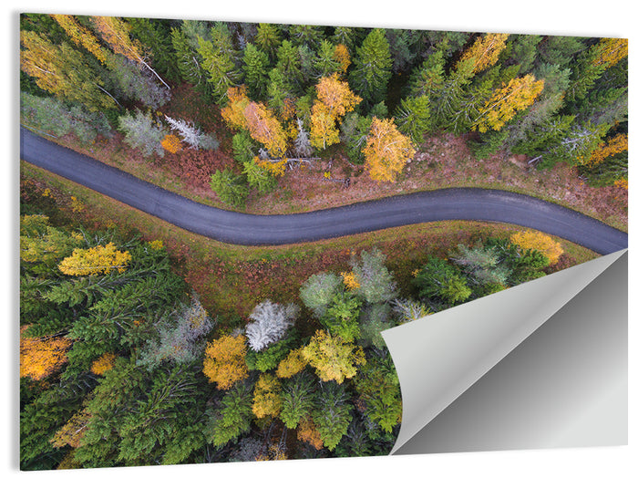 Aerial Autumn Forest Road Wall Art as a poster print