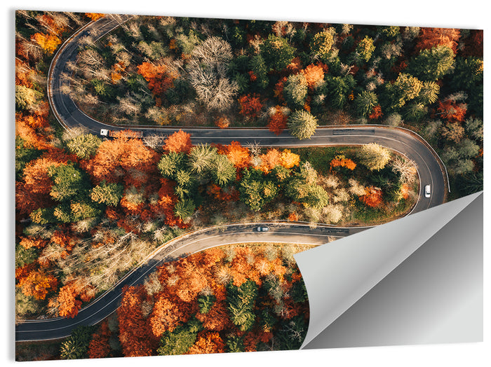 Aerial Winding Autumn Forest Road Wall Art as a poster print