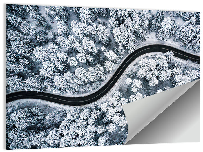 S-curve Winter Forest Road Wall Art as a poster print