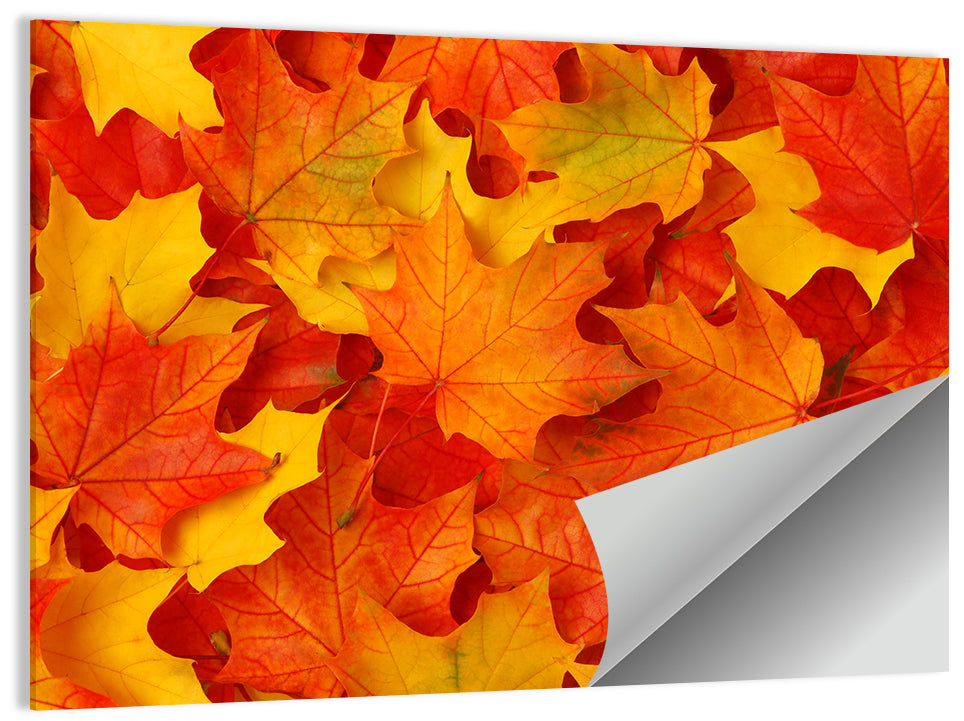 Maple Leaves Wall Art
