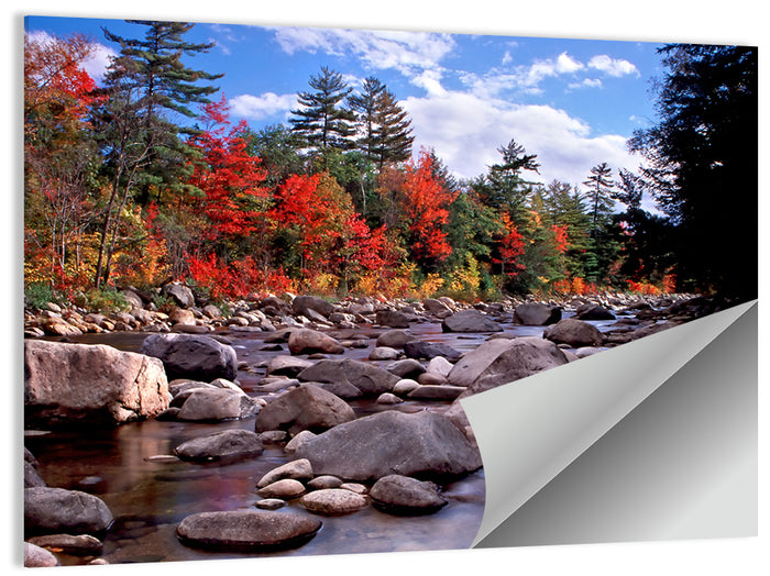 New Hampshire Autumn Stream Wall Art as a poster print