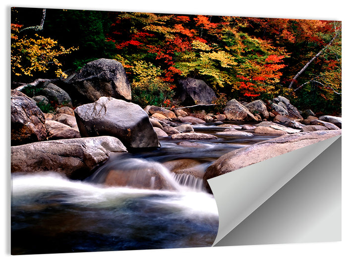 New Hampshire Autumn Stream Wall Art as a poster print
