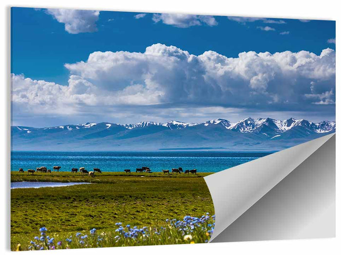 Song Kol Wildflower Shore Wall Art as a poster print