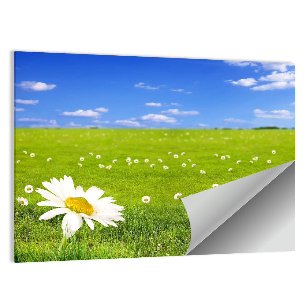 Spring Flowers Meadow Wall Art