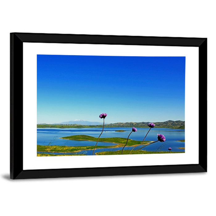 Lake Mathews Wildflower View Wall Art as a framed print