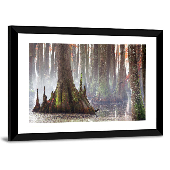 Chicot State Park Morning Fog Wall Art as a framed print