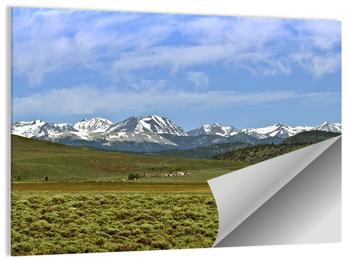 Sierra Nevada Sagebrush Plains Wall Art as a poster print