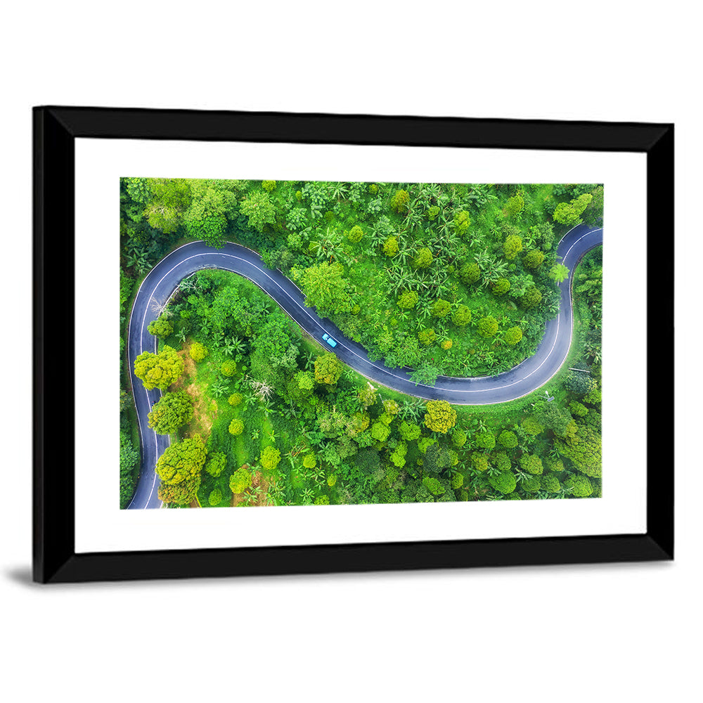 Summer Forest Road Wall Art
