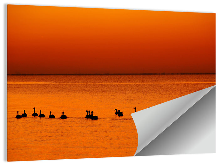 Geese Silhouettes at Orange Sunset Wall Art as a poster print