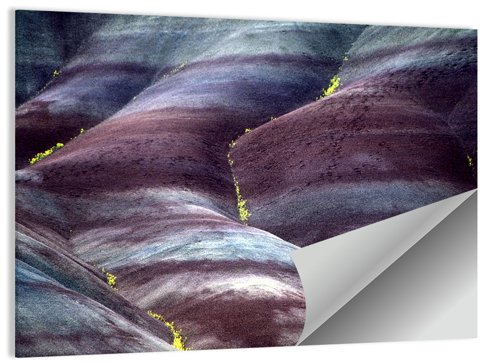John Day Fossil Beds Wall Art