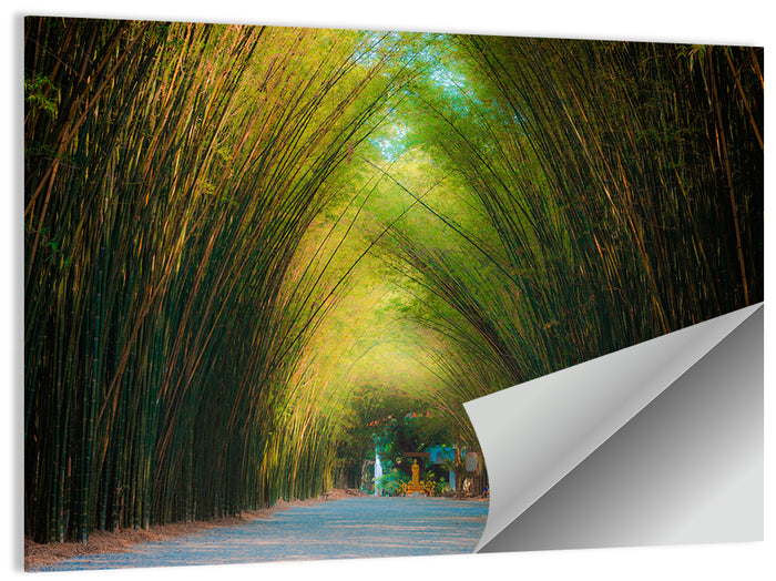 Arched Bamboo Tunnel Wall Art as a poster print