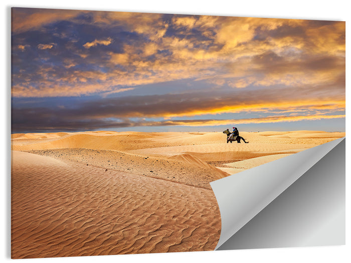 Sahara Camel Rider at Sunset Wall Art as a poster print