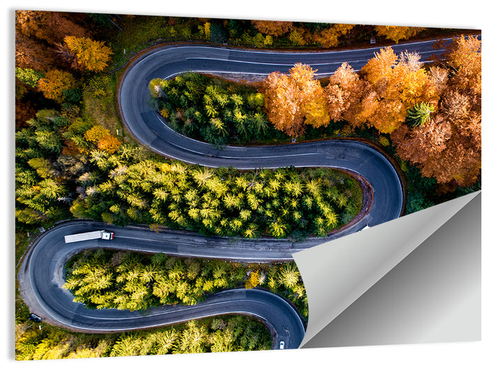 Serpentine Forest Road Wall Art as a poster print