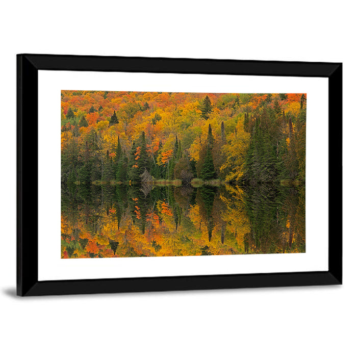 Ottawa National Forest Autumn Reflection Wall Art as a framed print