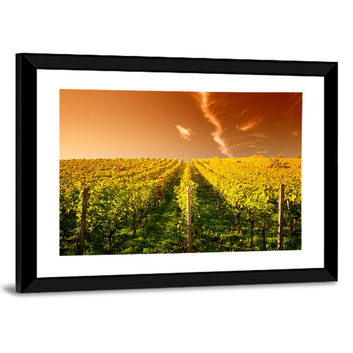 Golden Vineyard Sunset Wall Art as a framed print