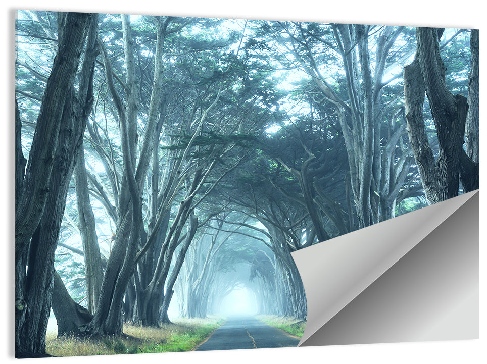 Foggy Trees Alley Wall Art