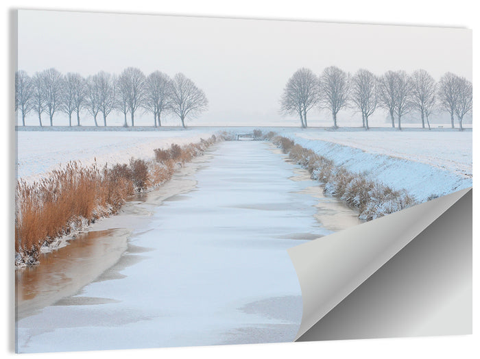 Frozen Canal with Bare Trees Wall Art as a poster print