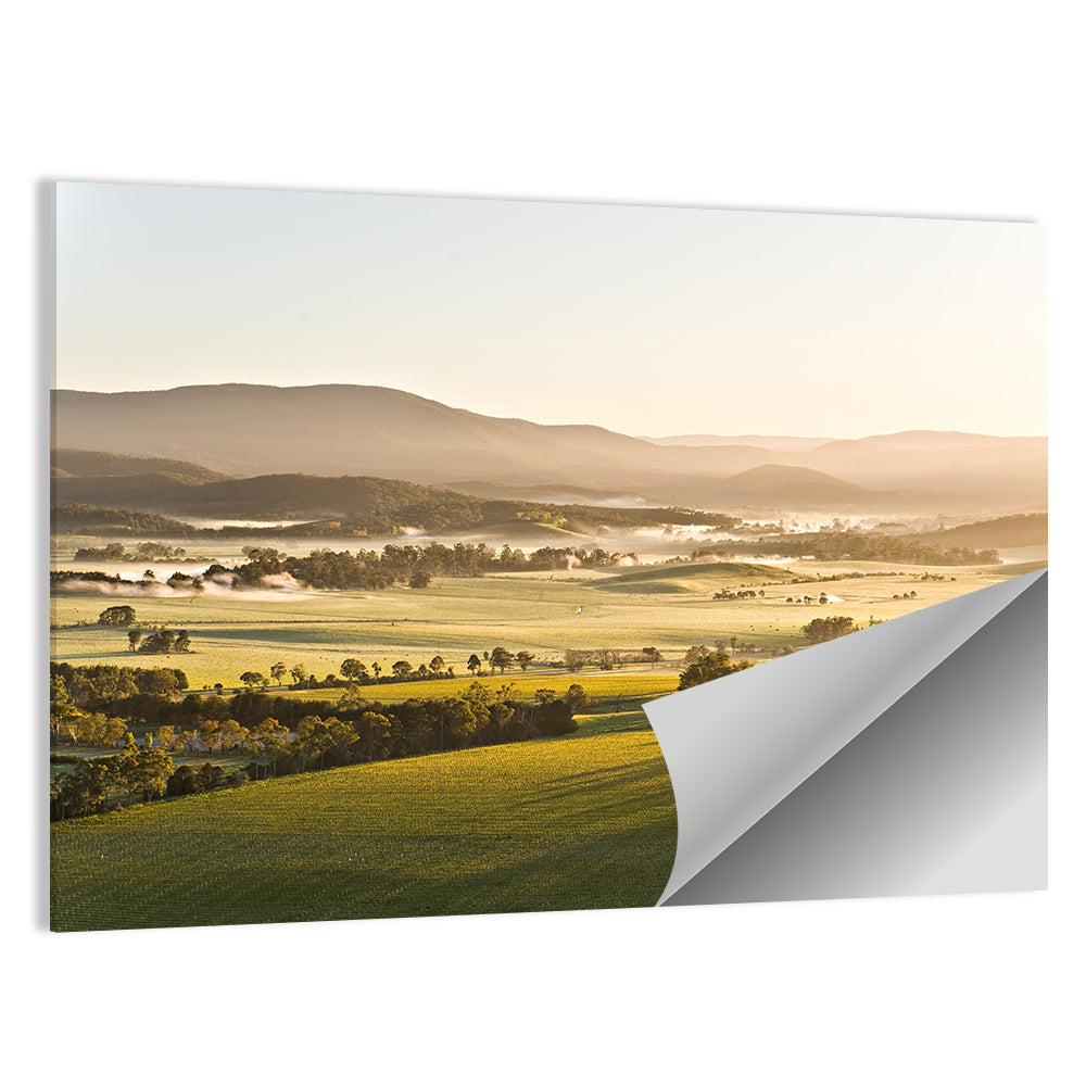 Yarra Valley Wall Art