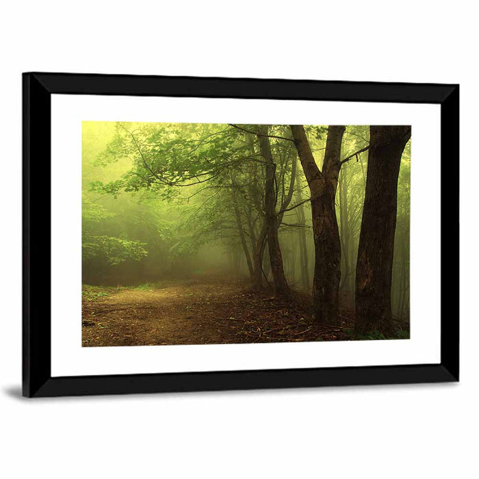 Misty Green Forest Path Wall Art as a framed print