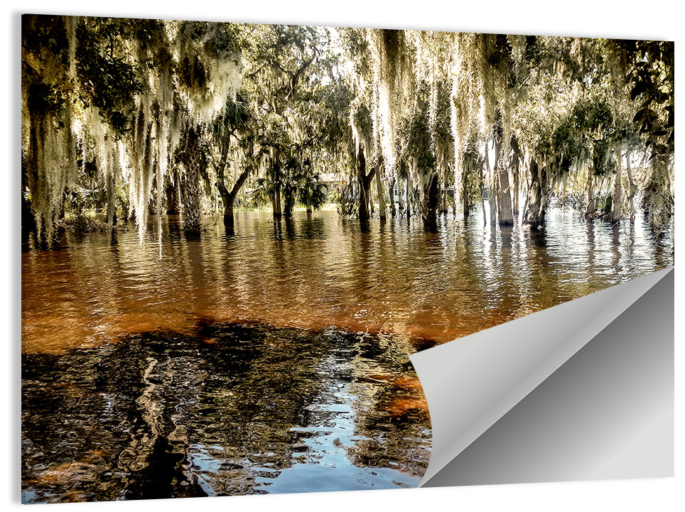 Swamp Harbor In Lake Jesup Wall Art
