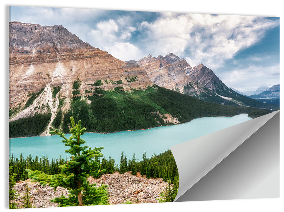 Peyto Lake Wall Art