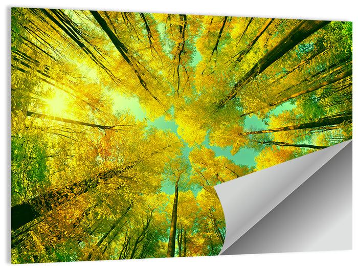 Golden Autumn Canopy Wall Art as a poster print
